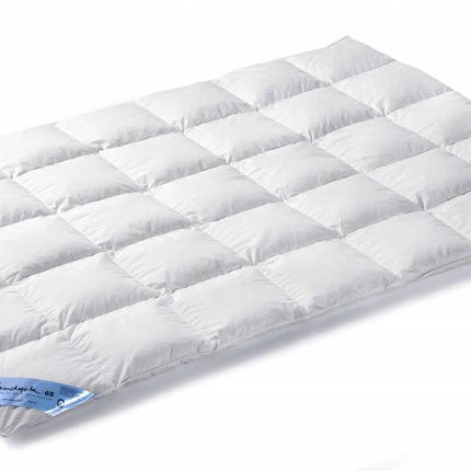 VANDYCK 65 duvet (down)