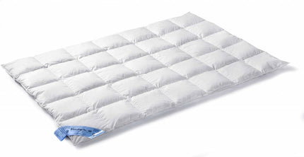 VANDYCK 65 duvet (down)