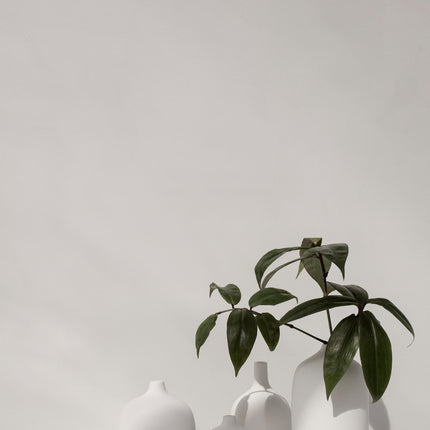 Jarrón CEOLA Blanco 18 cm
