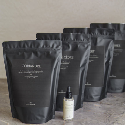 Recambio para piedras aromáticas PARIS Coriandre